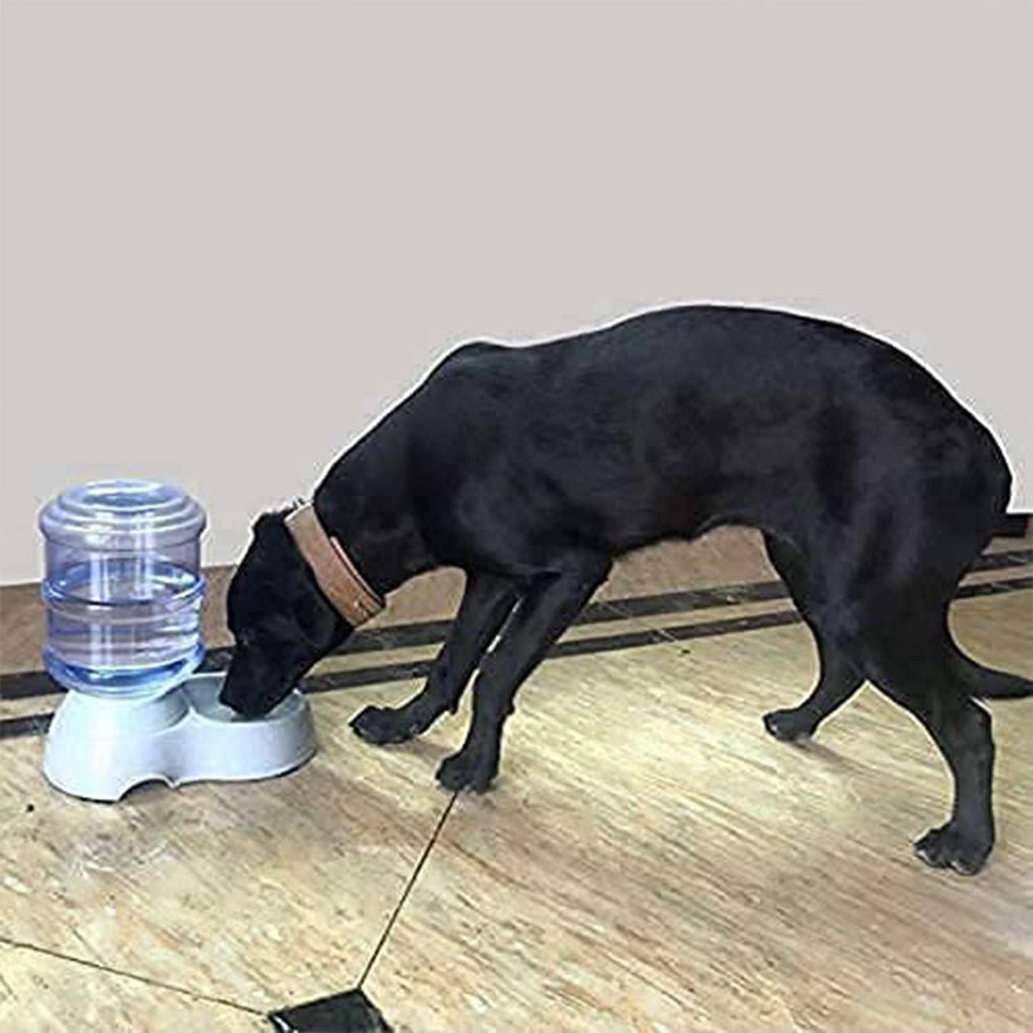 Automatic Pet Water Dispenser Self-dispensing Gravity Pet Feeder Water Cat Dog Feeding Bowl Drinking Water Automatic Pet Water Dispenser Self-dispensing Gravity Pet Feeder Water Cat Dog Feeding Bowl Drinking Water